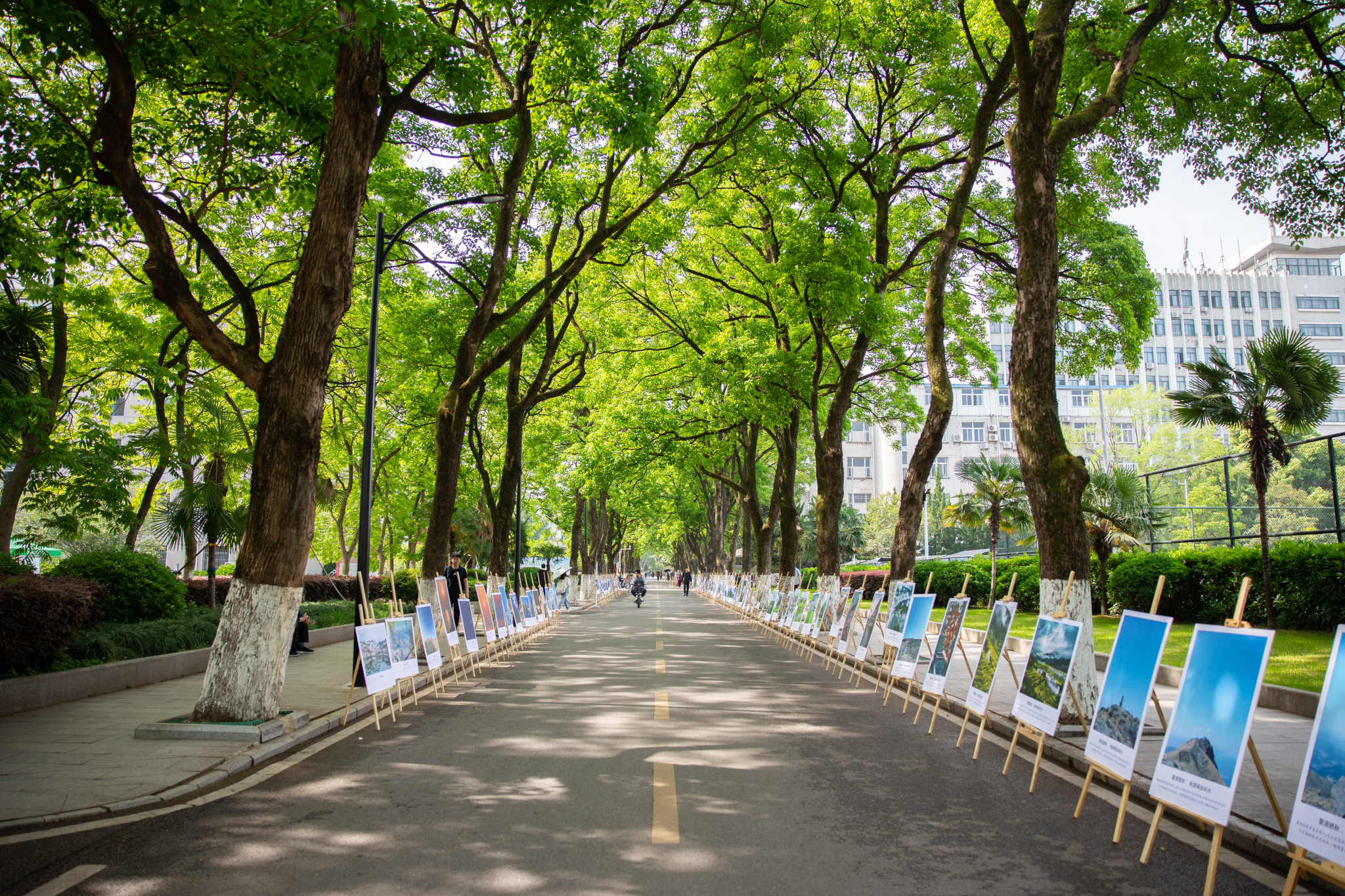 大学校园学术氛围